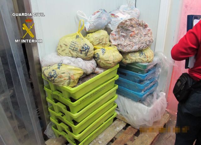 La Guardia Civil inmoviliza más de dos toneladas de pescado de procedencia ilícita - 4, Foto 4