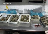 La Guardia Civil inmoviliza ms de dos toneladas de pescado de procedencia ilcita