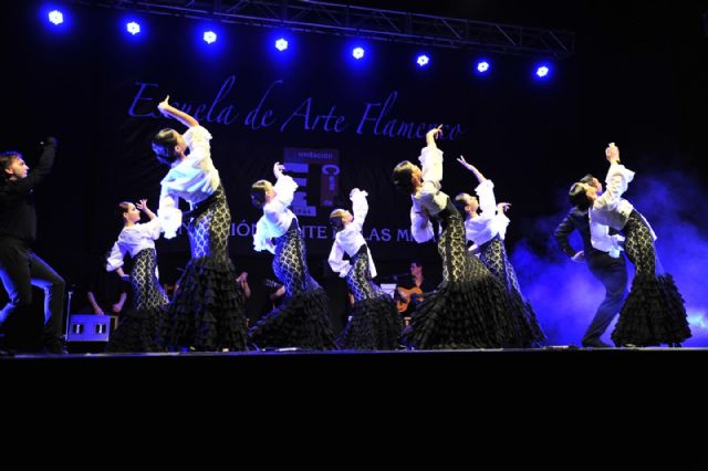 Brillante clausura de la Escuela de Flamenco 2013 - 1, Foto 1