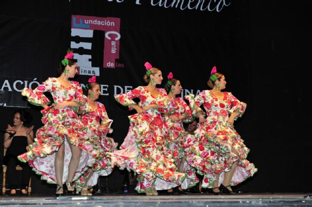 Brillante clausura de la Escuela de Flamenco 2013 - 4, Foto 4