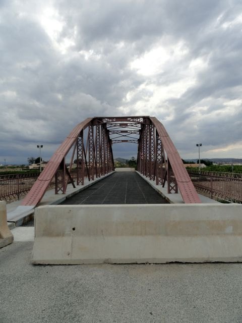 El Grupo Socialista reclamará en Pleno soluciones ante la precaria situación en la que se encuentra Alquerías - 2, Foto 2