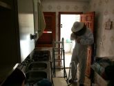 Protección Civil retira un enjambre en la cocina de una vivienda de la avenida Juan Carlos I