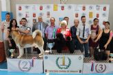 150 ejemplares destacan por su elevado nivel tcnico en el II concurso nacional canino de Mazarrn