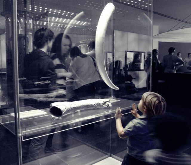 Fidel Ãngel Navarro gana el VI Concurso de Fotografía de Cartagena Puerto de Culturas - 1, Foto 1