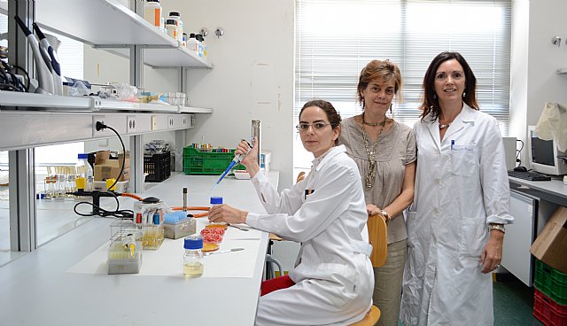 Investigadores de Agrónomos utilizan la miel como conservante natural de carne picada de ternera - 1, Foto 1