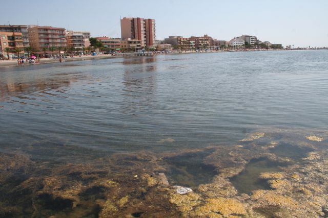 La playa Villananitos, el patito feo del municipio, según UPyD - 1, Foto 1