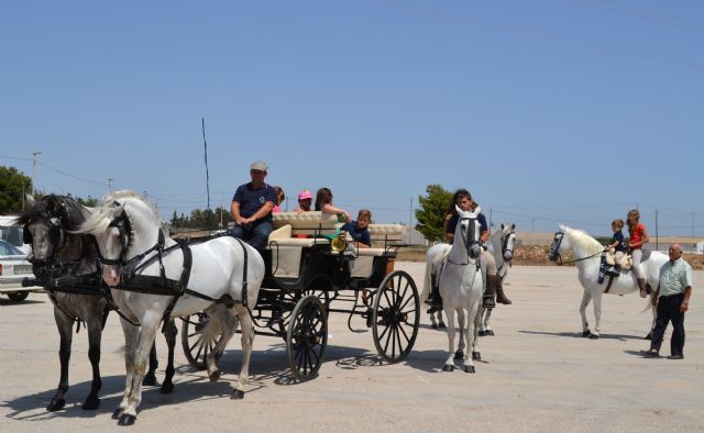 El X encuentro de carruajes Villa de San Pedro reúne a aficionados del enganche de toda la Región - 2, Foto 2