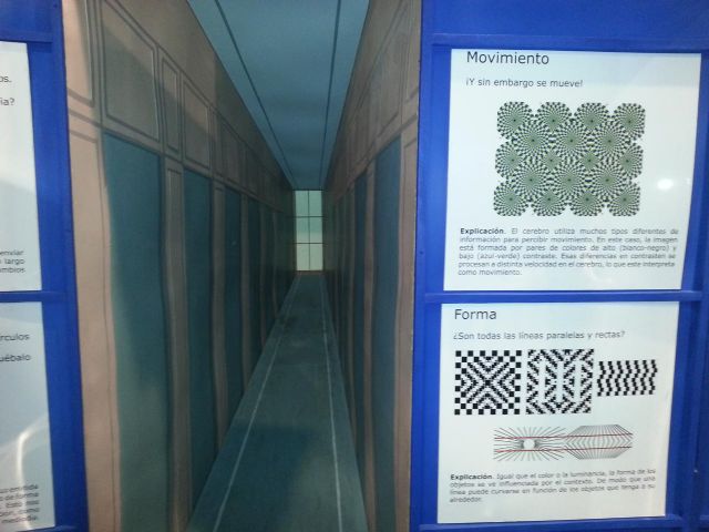 Aprendiendo la teoría de las neuronas espejo - 3, Foto 3