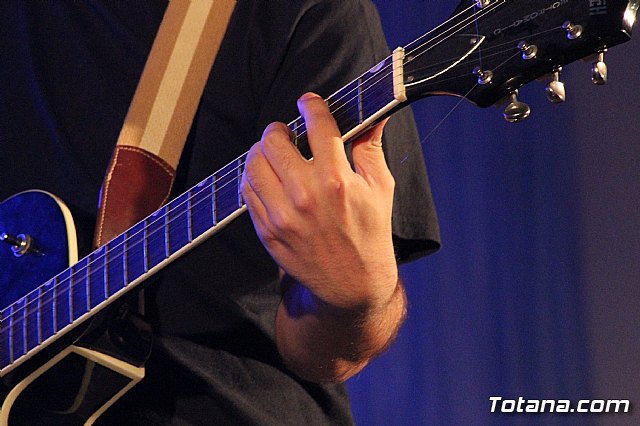 El II Concierto benfico PA.DI.SI.TO tuvo lugar el pasado sbado - 18