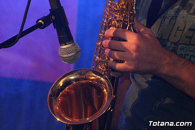 El II Concierto benfico PA.DI.SI.TO tuvo lugar el pasado sbado - 21