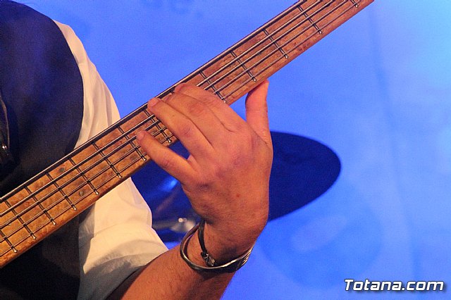 El II Concierto benfico PA.DI.SI.TO tuvo lugar el pasado sbado - 22