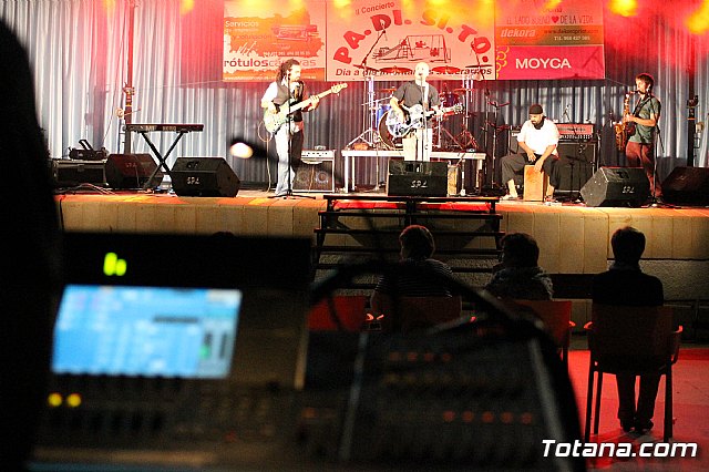 El II Concierto benfico PA.DI.SI.TO tuvo lugar el pasado sbado - 25