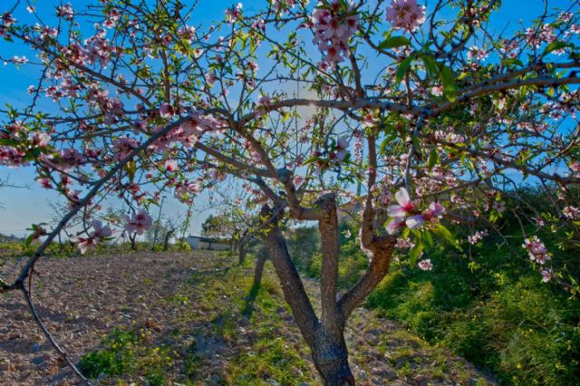 Los Puertos de Santa Bárbara comienzan sus fiestas populares este viernes - 1, Foto 1