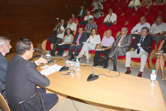 El País del Búho será uno de los primeros asuntos sobre los que dictaminará el Consejo Social de la Ciudad - 1, Foto 1