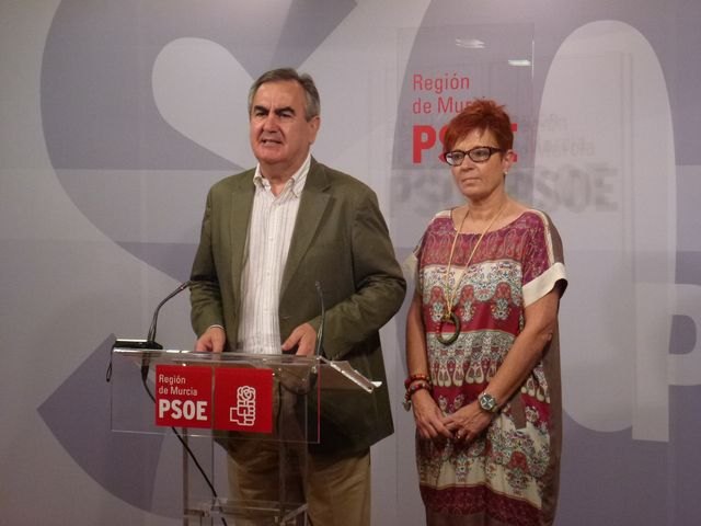 El PSOE dará la batalla contra los injustos cambios que el PP regional quiere incluir en la Dependencia - 1, Foto 1