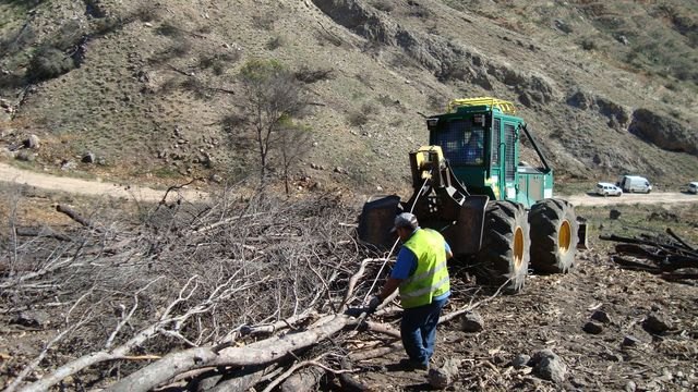 La Consejería de Presidencia inicia los trabajos de recuperación en 525 hectáreas afectadas por el incendio de Salmerón - 2, Foto 2