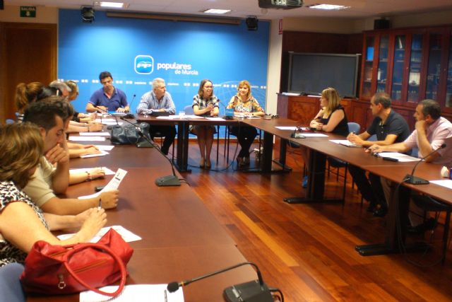 El PP defiende que la modificación legislativa asegura y hace sostenible el Sistema de Dependencia - 1, Foto 1