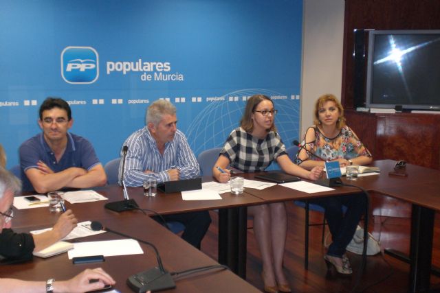 El PP defiende que la modificación legislativa asegura y hace sostenible el Sistema de Dependencia - 2, Foto 2