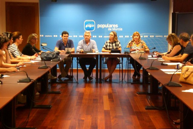 El PP defiende que la modificación legislativa asegura y hace sostenible el Sistema de Dependencia - 3, Foto 3