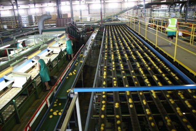 El alcalde de Torre-Pacheco visita las instalaciones de G´s España en Torre-Pacheco - 2, Foto 2