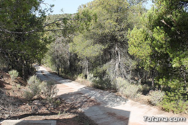 El Servicio Municipal de Aguas mejora las infraestructuras de abastecimiento con la remodelacin del depsito de la Virgen de las Huertas - 1