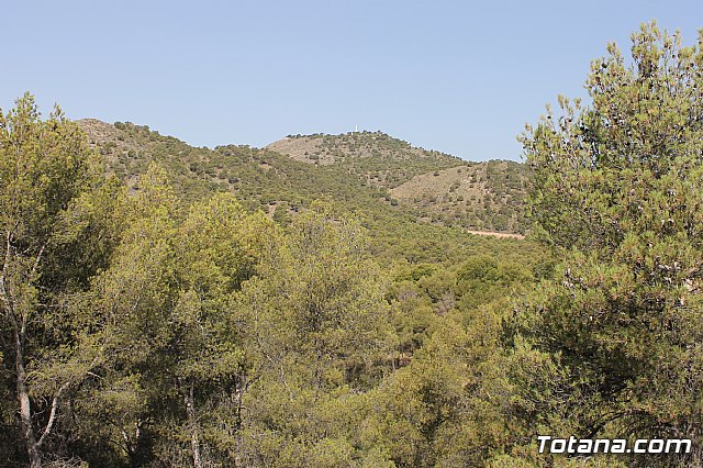 El Servicio Municipal de Aguas mejora las infraestructuras de abastecimiento con la remodelacin del depsito de la Virgen de las Huertas - 4
