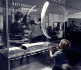 Las mejores fotografas de La Noche de los Museos reciben sus premios