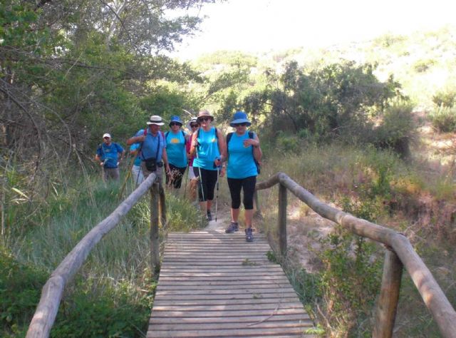 Calasparra, última visita de la Asociación de Senderismo Los Peregrinos torreña - 3, Foto 3