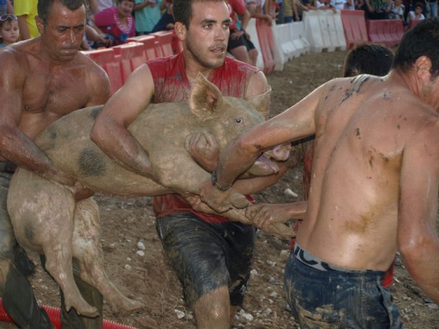 La caza del cerdo en el barro y la carrera de autos locos irrumpen en las fiestas de Los Torraos - 2, Foto 2