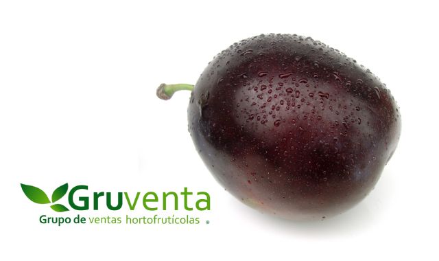 La campaña de la ciruela murciana muestra agilidad y dinamismo comercial esta temporada - 1, Foto 1