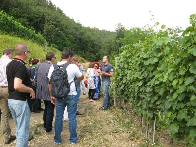El Alcalde de Bullas ratificado como Vicepresidente de la Red Internacional Vinest - 2, Foto 2