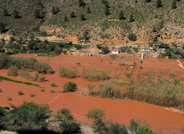 La CHS inicia varias actuaciones para recuperar la capacidad de desagüe de los ríos Segura y Mundo - 1, Foto 1