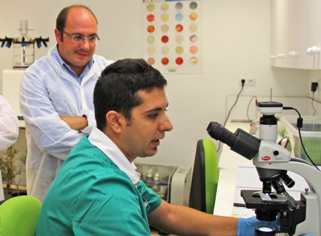 El Ministerio de Economía y Competitividad distingue a Puerto Lumbreras como 'Ciudad de la Ciencia y la Innovación' - 2, Foto 2