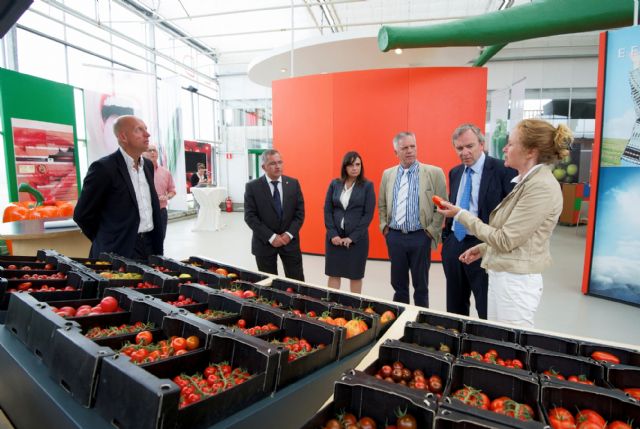 El alcalde de Águilas viaja a Holanda para firmar una carta de intenciones en Lansingerland - 1, Foto 1