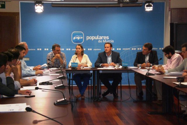 El PP elabora una batería de propuestas para el 'Plan de Emprendedores 2014-2018' del Gobierno regional - 2, Foto 2