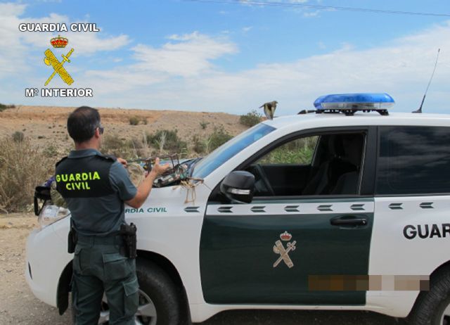 La Guardia Civil denuncia a varios furtivos por captura ilegal de  aves fringílidas - 2, Foto 2
