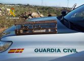La Guardia Civil denuncia a varios furtivos por captura ilegal de  aves fringlidas