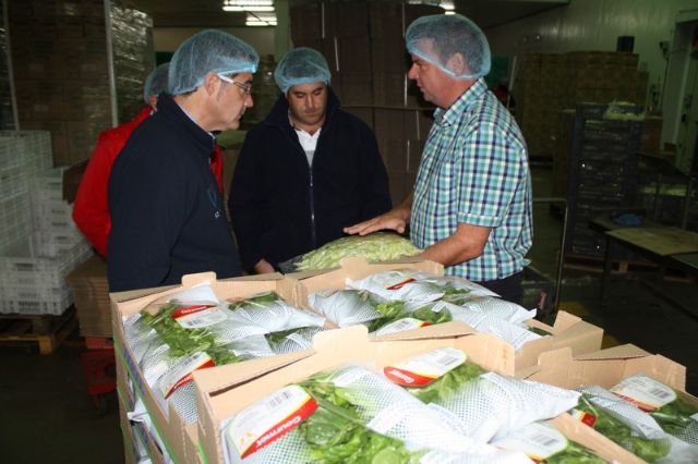 El alcalde de Torre-Pacheco visita las instalaciones de Sogesol - 2, Foto 2