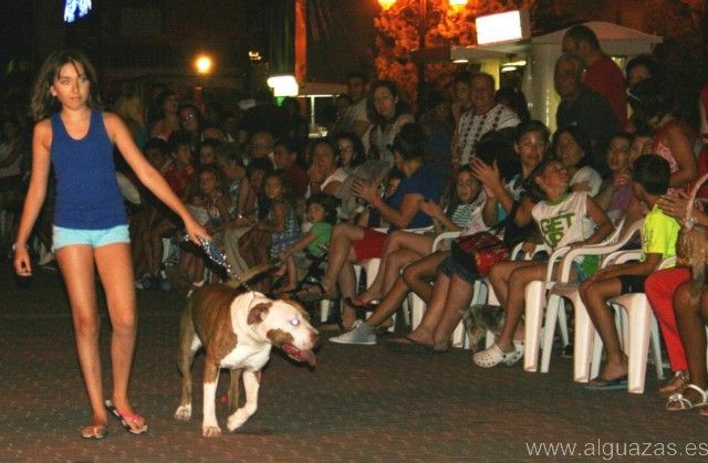 Las fiestas 2013 del Barrio del Carmen de Alguazas, - 1, Foto 1