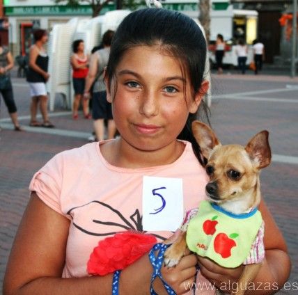Las fiestas 2013 del Barrio del Carmen de Alguazas, - 2, Foto 2