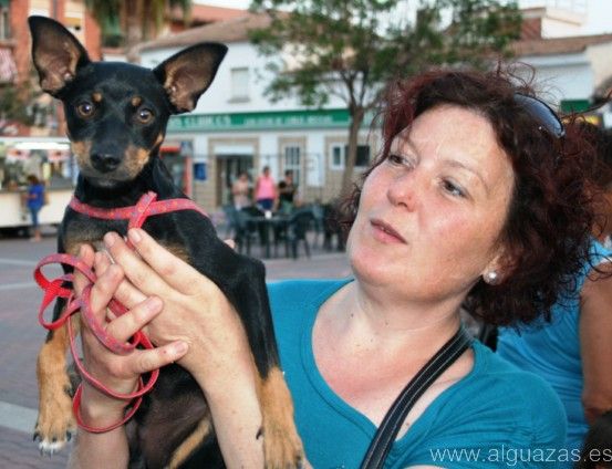 Las fiestas 2013 del Barrio del Carmen de Alguazas, - 4, Foto 4