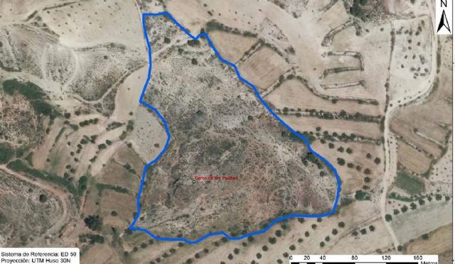 La Concejalía de Cultura afirma que la declaración como Bien Catalogado del yacimiento arqueológico del Cerro de los Puches destaca la importancia de Lorca como referente peninsular en el estudio de la prehistoria - 3, Foto 3