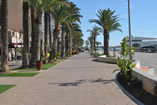 Parques y Jardines realiza un nuevo tratamiento en  palmeras contra el picudo - 1, Foto 1