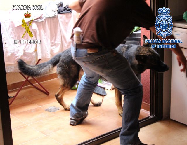 Desarticulado un grupo criminal dedicado al tráfico de drogas en Murcia y en Las Torres de Cotillas - 2, Foto 2