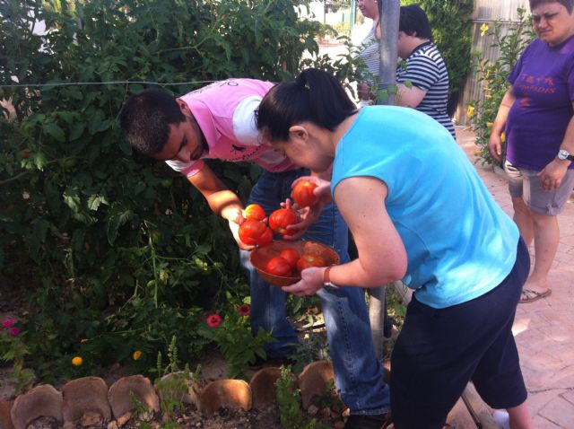 PROMETEO celebra su Primer Concurso de cocina Hoy Cocinamos Todos - 2, Foto 2