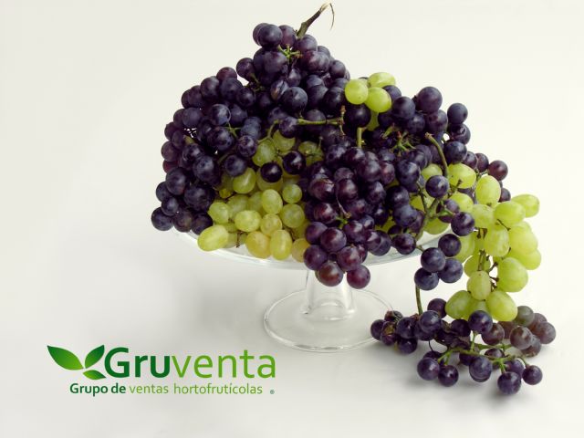 GRUVENTA comienza con buenas perspectivas la campaña de uva sin pepita - 1, Foto 1