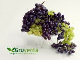 GRUVENTA comienza con 'buenas perspectivas' la campaña de uva sin pepita