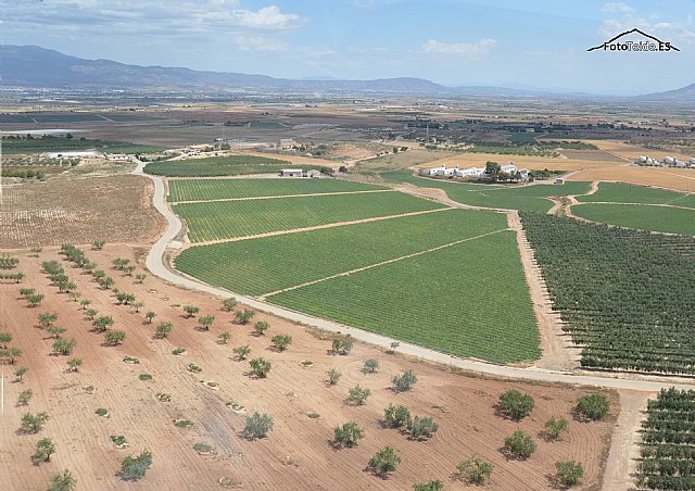 La II Marcha Nocturna por El Raiguero Bajo tuvo lugar el pasado sbado - 36
