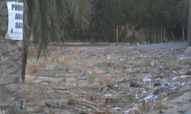 IU-Verdes presenta una moción para solucionar deficiencias en calles y jardines de Churra - 2, Foto 2