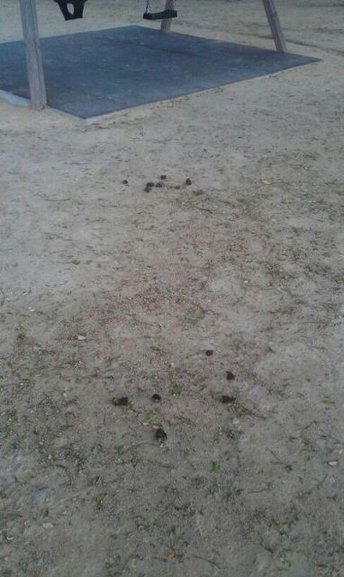 IU-Verdes presenta una moción para solucionar deficiencias en calles y jardines de Churra - 3, Foto 3